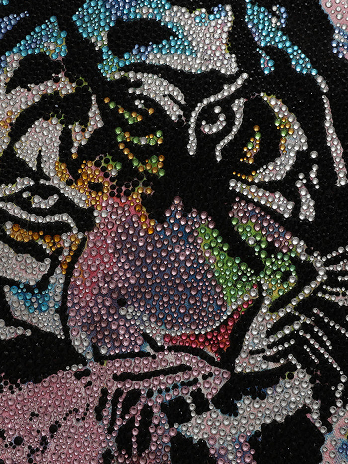 TCH Unisex's Oversized Tiger Hot Diamond Colorful Hoodie