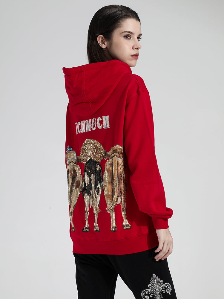 TCH Men's Rhinestone Graphics Long Sleeve Hoodie