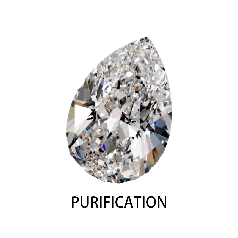 TCH Fashion Purification