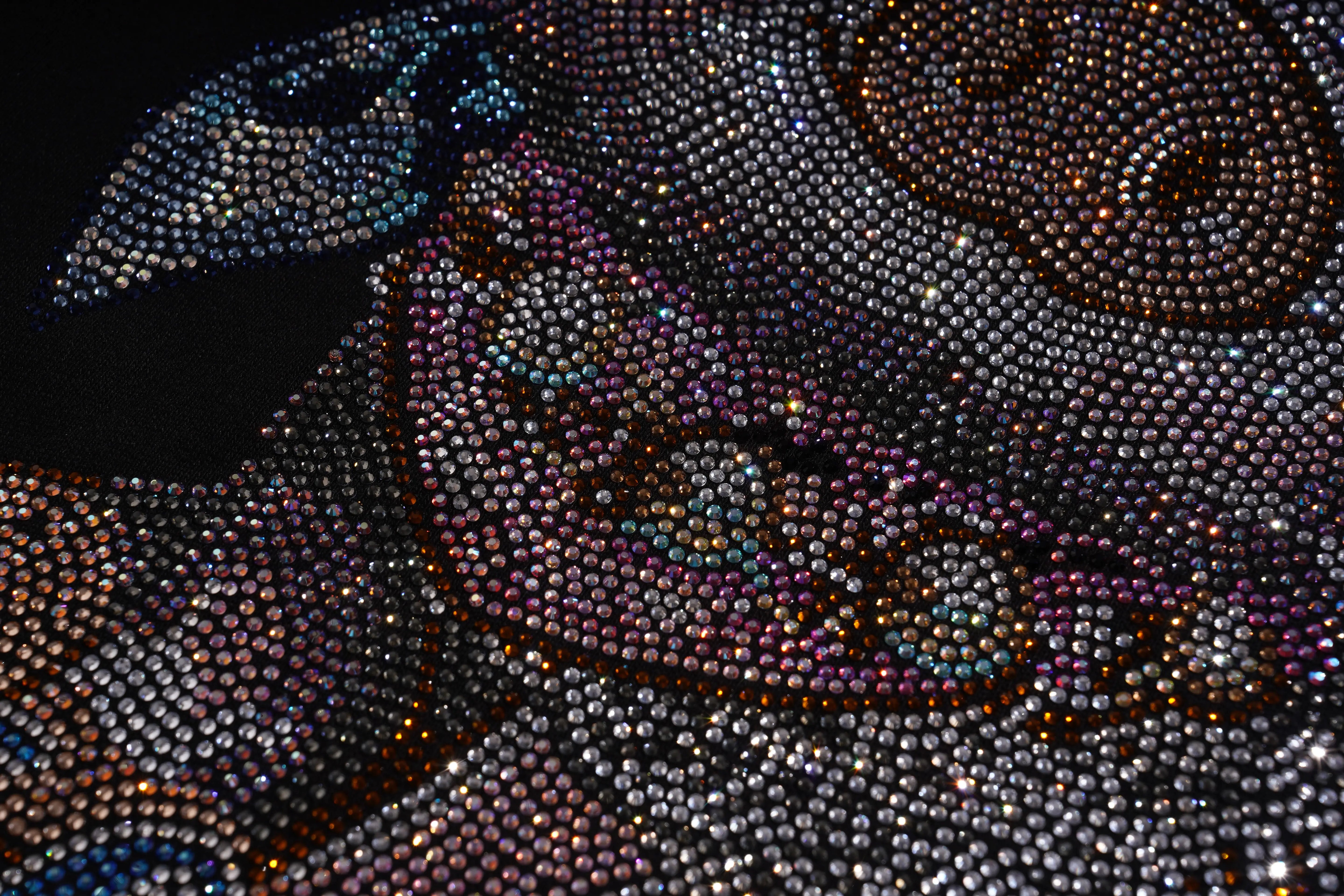 Close-up of a beaded or embroidered design with intricate patterns. TCH Lucky Pig Rhinestone Sweatshirt