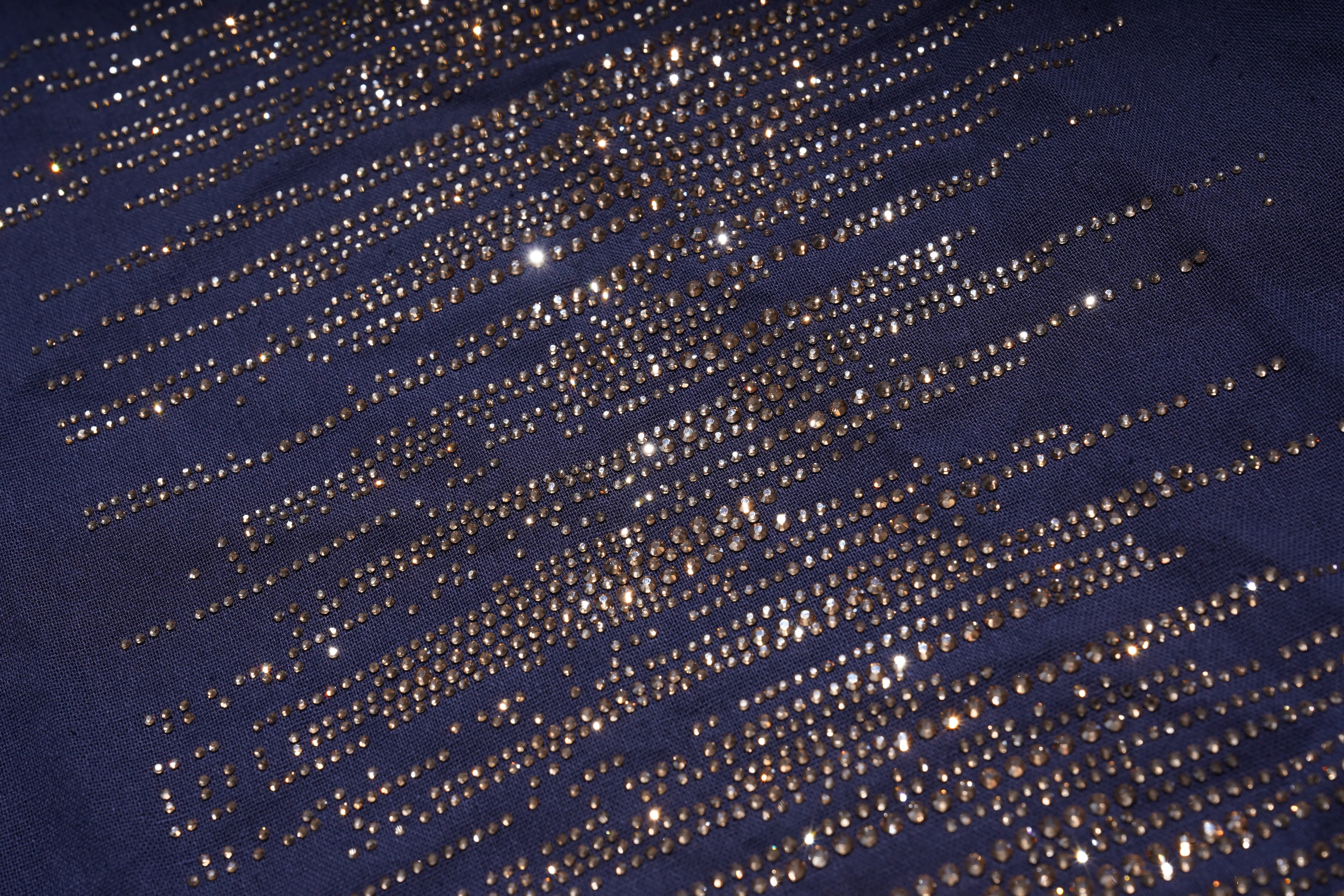 Close-up of a blue fabric with gold sequins, TCH Navy Rhinestone Dog Matching Set