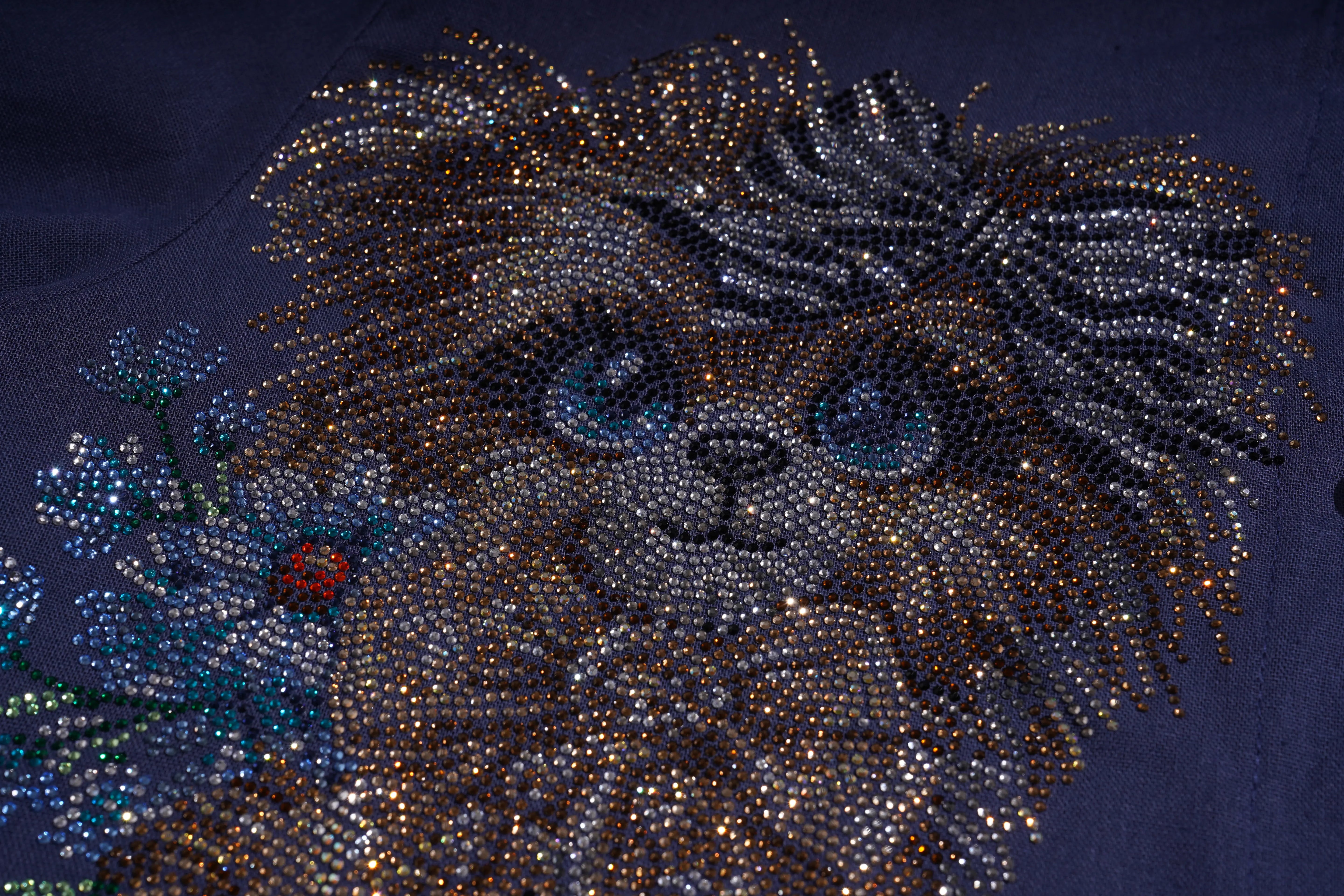 Close-up of a lion's face made from rhinestones on a dark background, TCH Navy Rhinestone Dog Matching Set