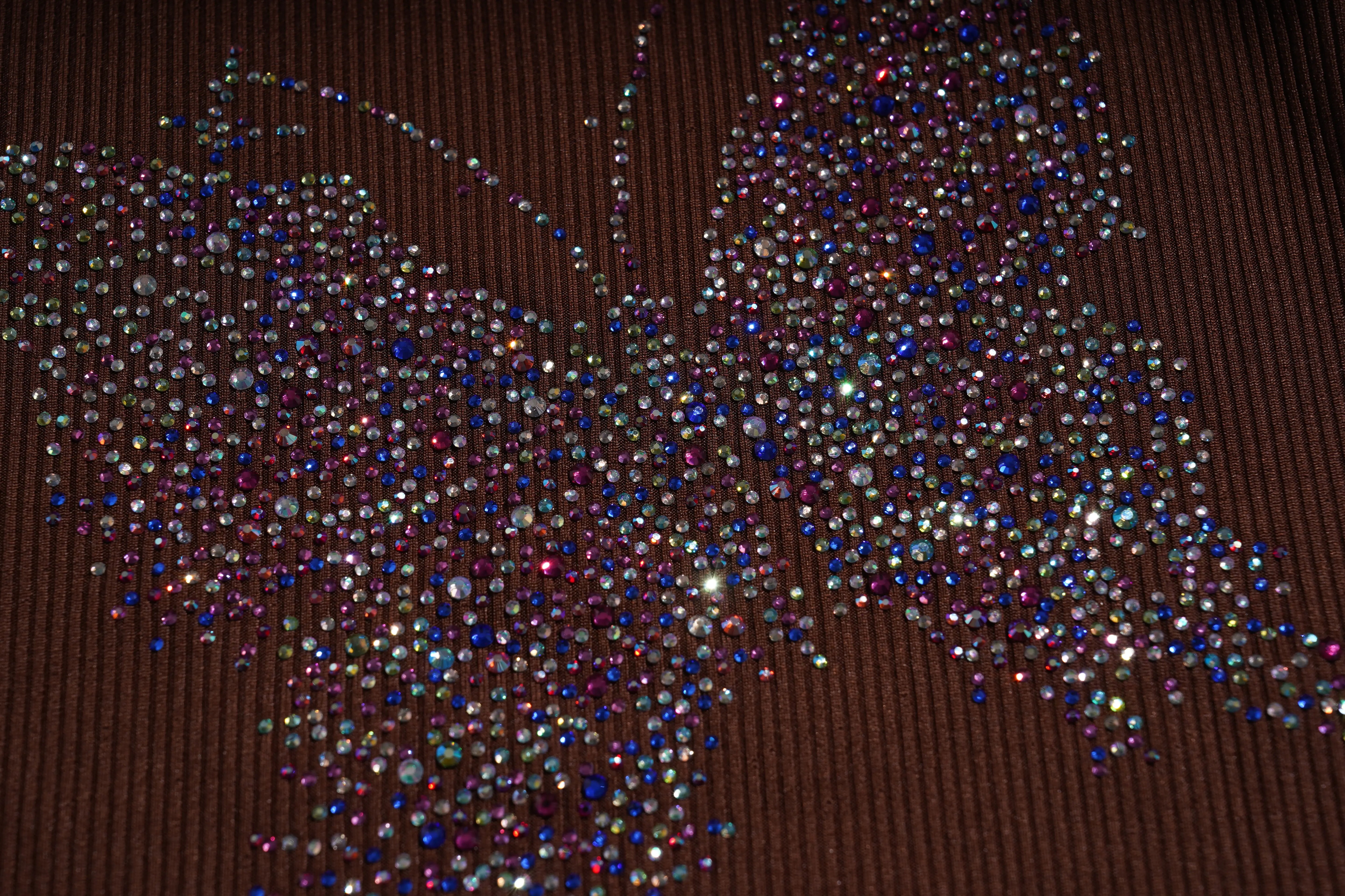 Butterfly made of multicolored rhinestones on a brown textured background, TCH Rhinestone Butterfly Bow Tank Top