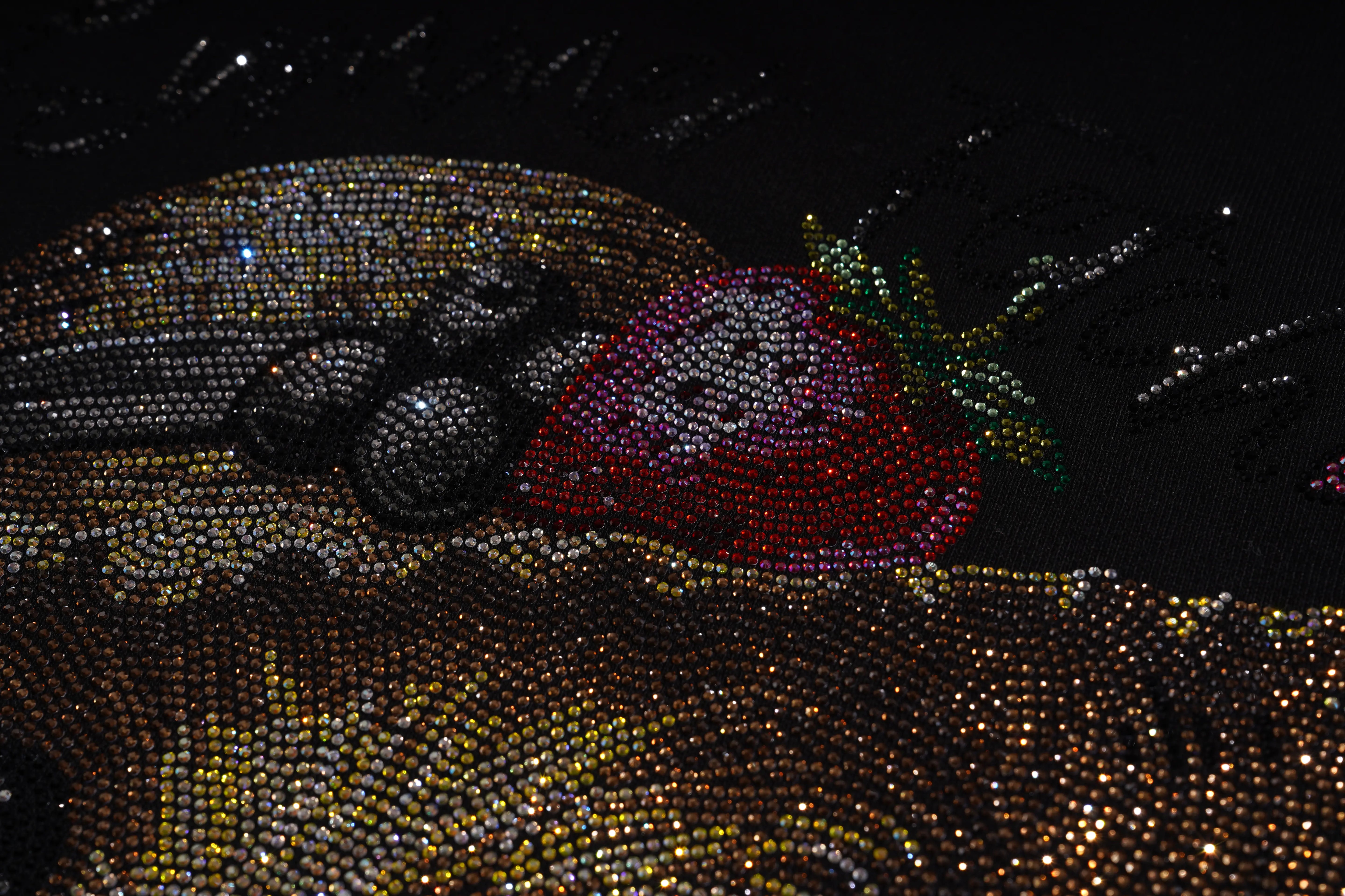 Close-up of a decorative item with beads and stones on a dark background TCH Rhinestone Puppy Graphic Sweatshirt-