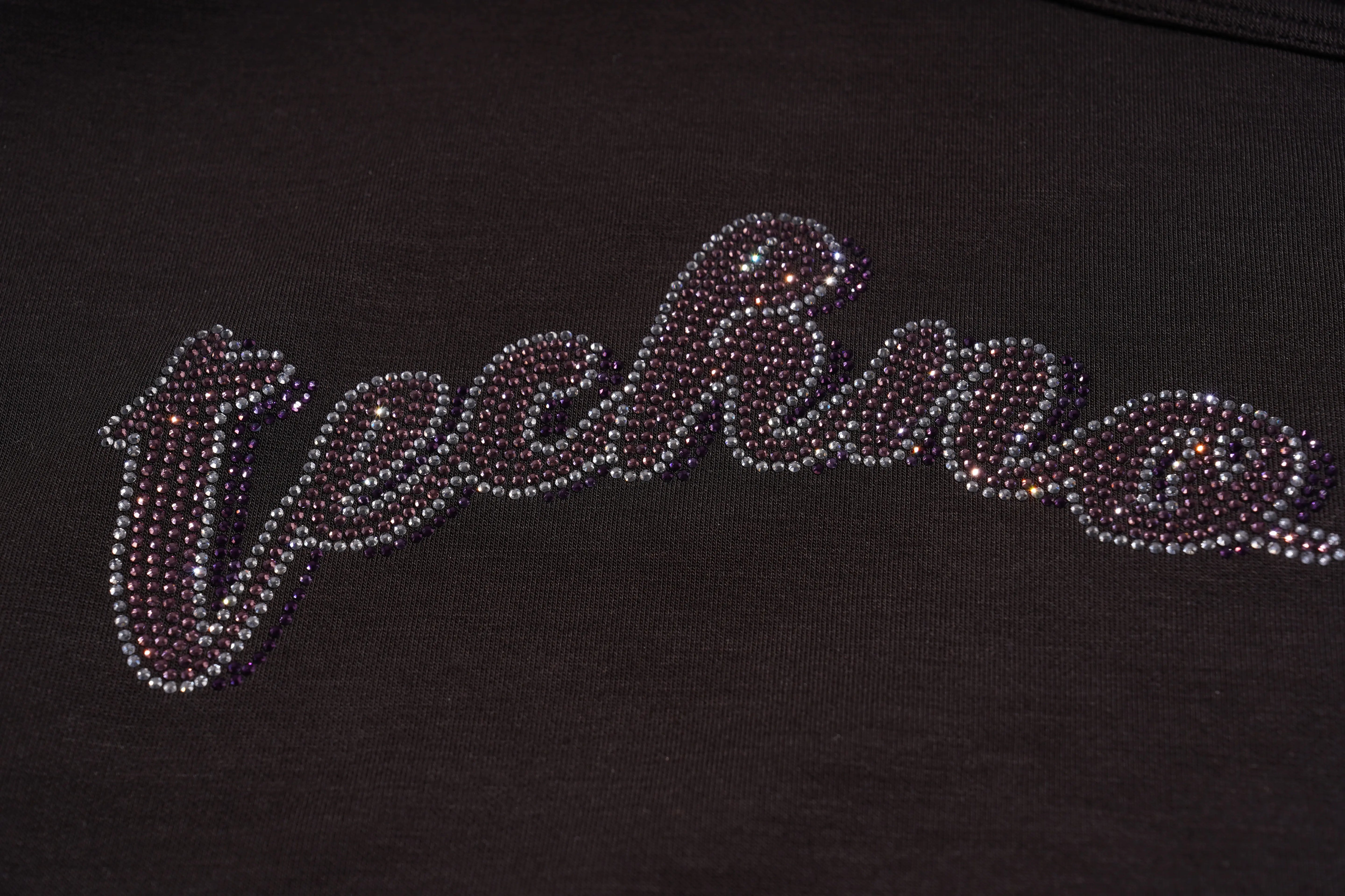 Text 'techno' made of rhinestones on a black background, TCH Rhinestone Teddy Bear & Bow Set