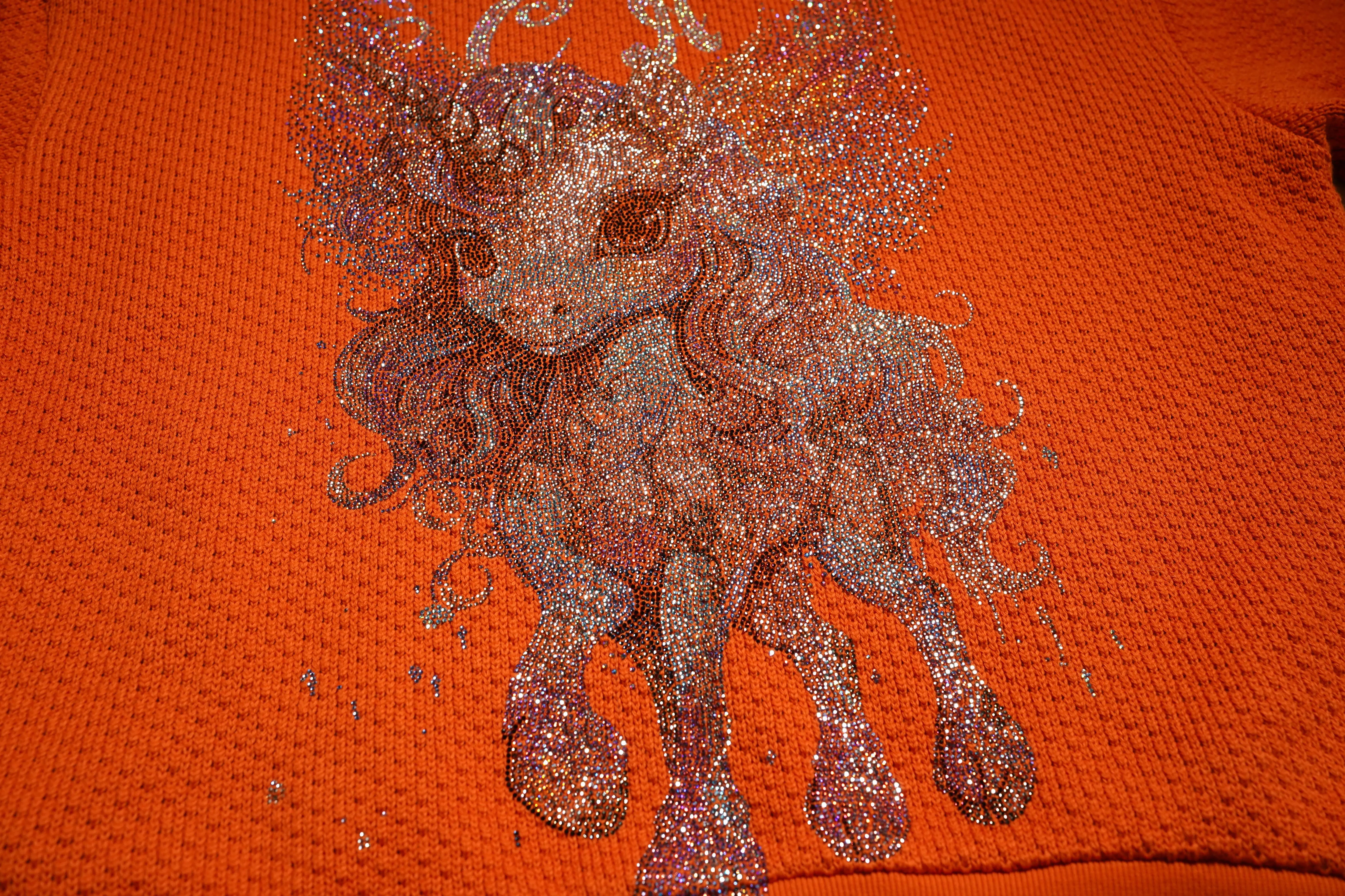 Sparkly lion design on an orange fabric background, TCH Rhinestone Unicorn Orange Hoodie