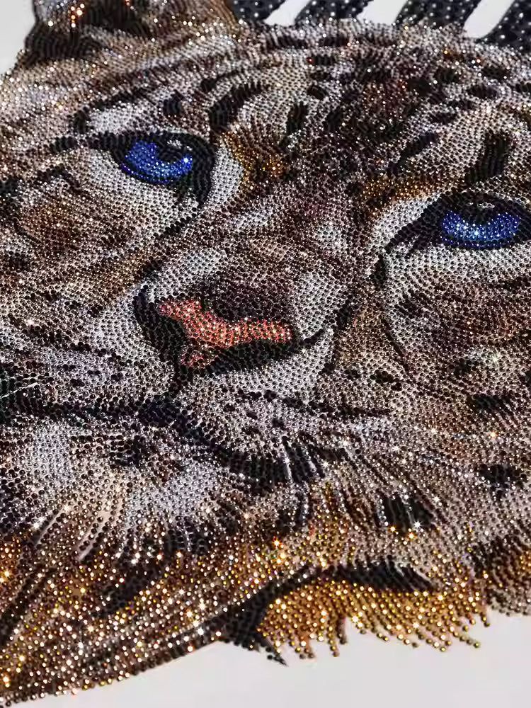 TCH Leopard Rhinestone Striple Sweatshirt