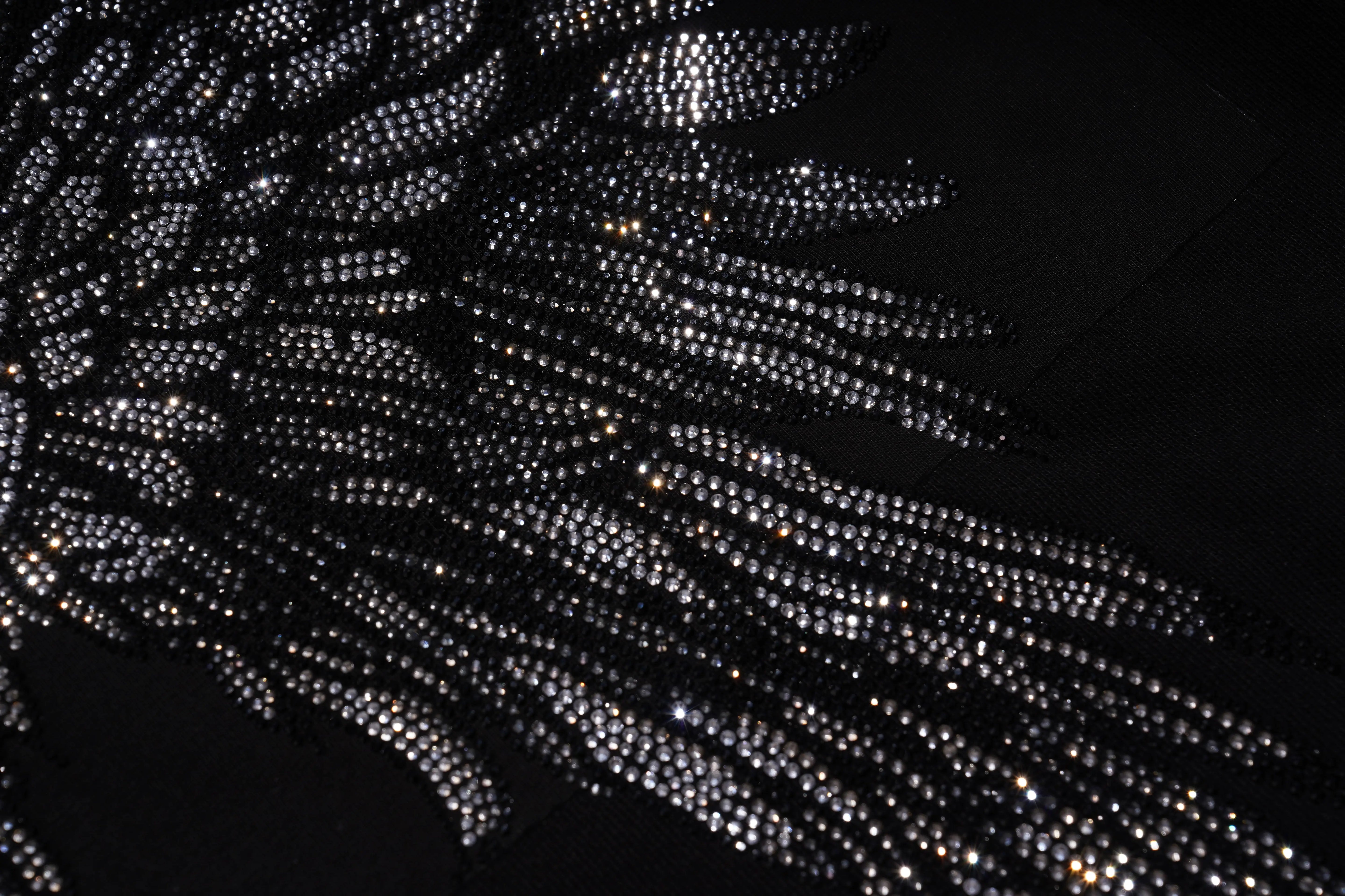 Close-up of black rhinestone embellishments on a dark background, TCH 1976 Rhinestone Wings Sweatshirt