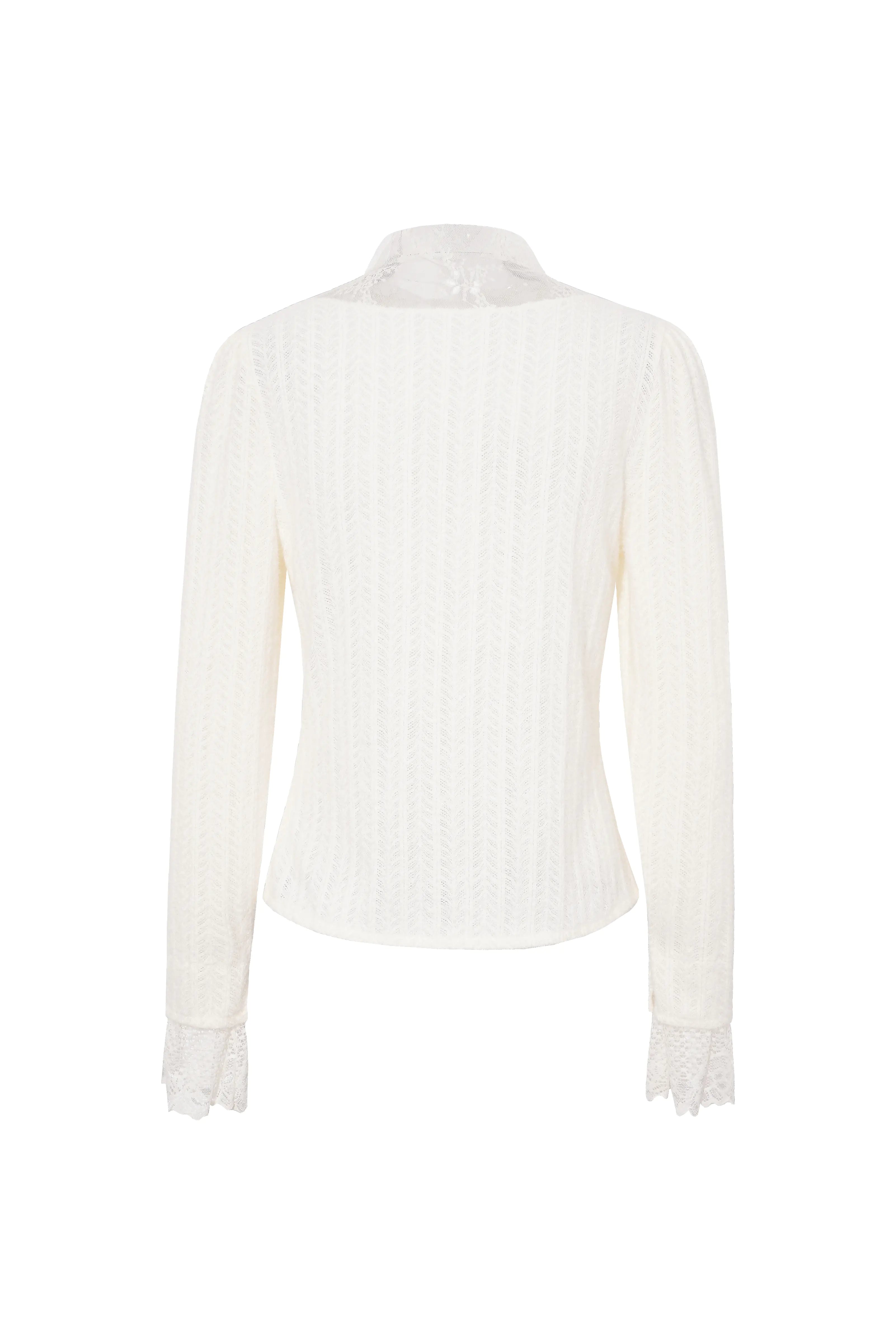 White blouse with a high collar on a white background, TCH Dual-Layer Mesh V-Neck Rhinestone Bow Beige Crop Turtleneck Top