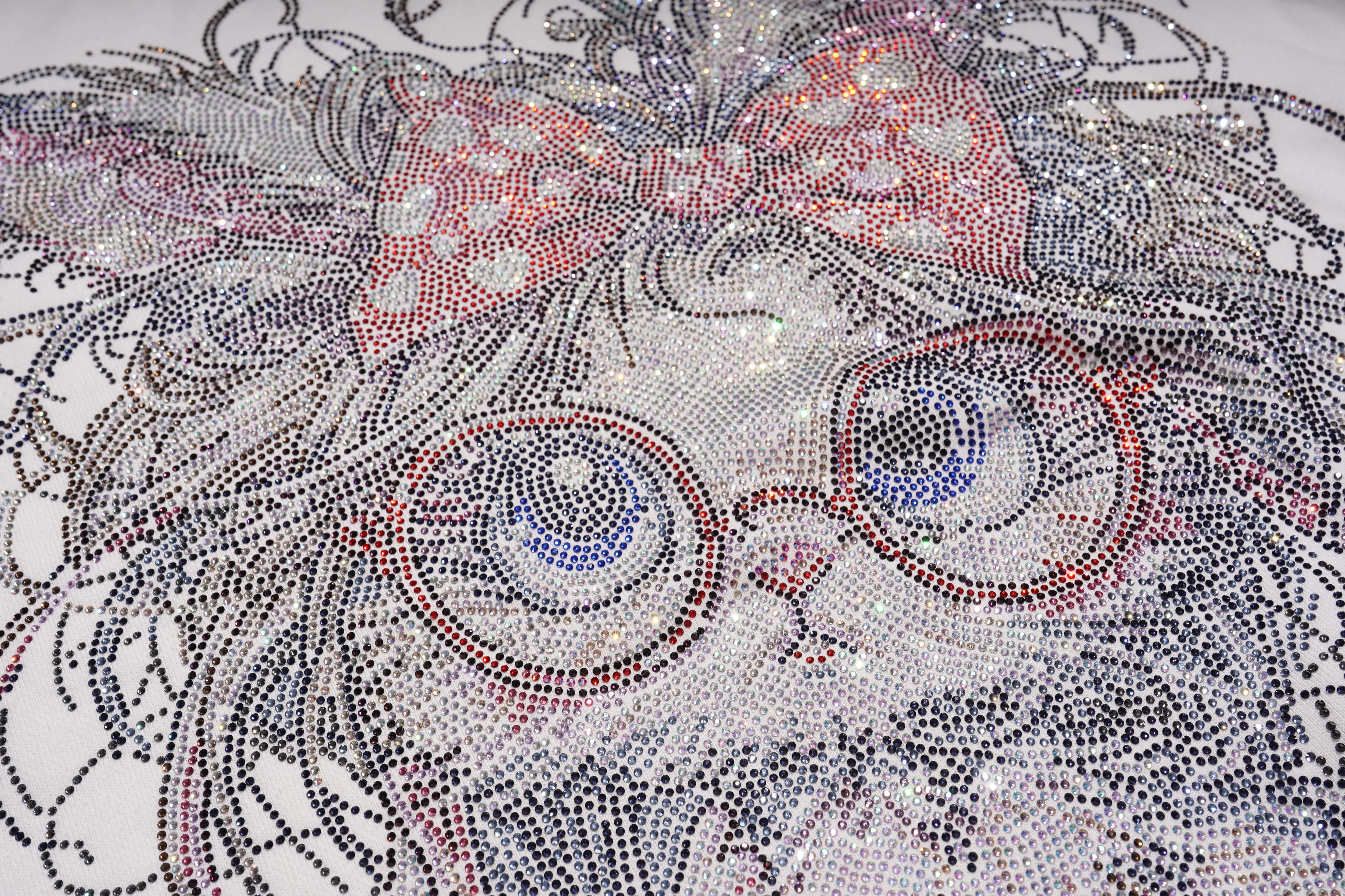 Close-up of a decorative design with intricate patterns and a bow on a white background， TCH Rhinestone Cat Graphic Crew Neck Sweatshirt