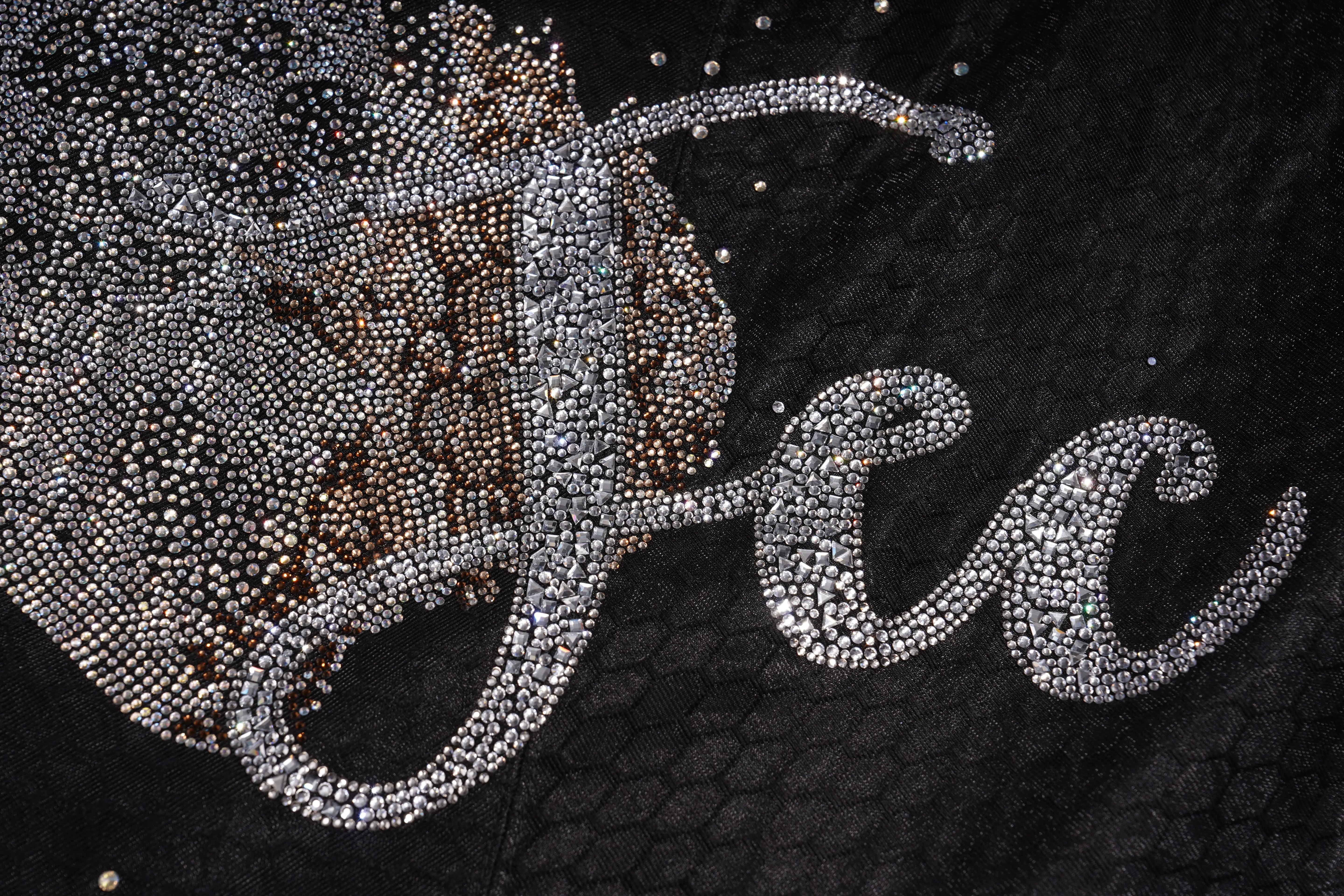 TCH Rhinestone Ice Graphic Mesh Flared Skirt - 12
