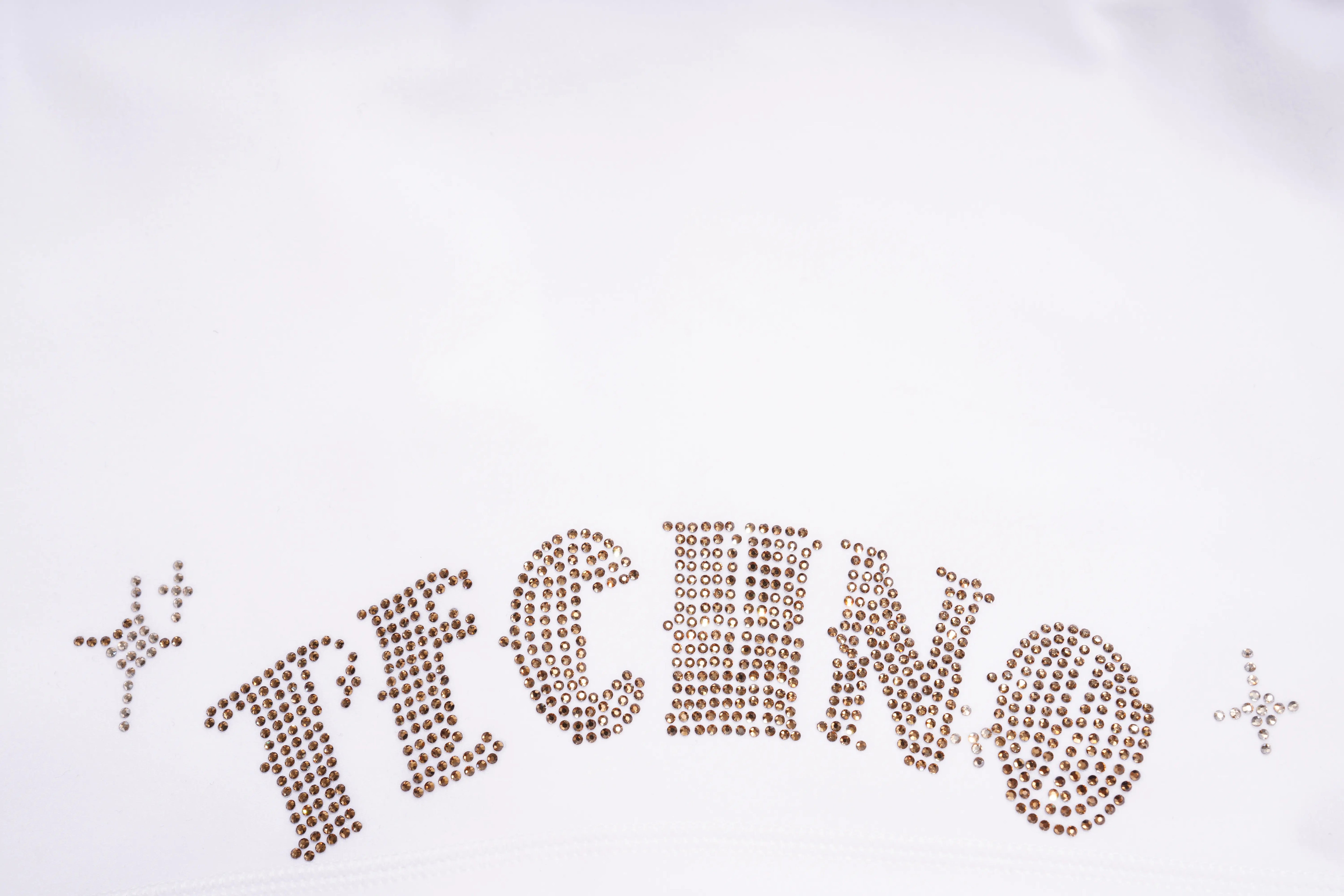 Decorative text 'TECHNO' made of rhinestones on a white background, TCH Rhinestone Lion & Horse Head Hoodie