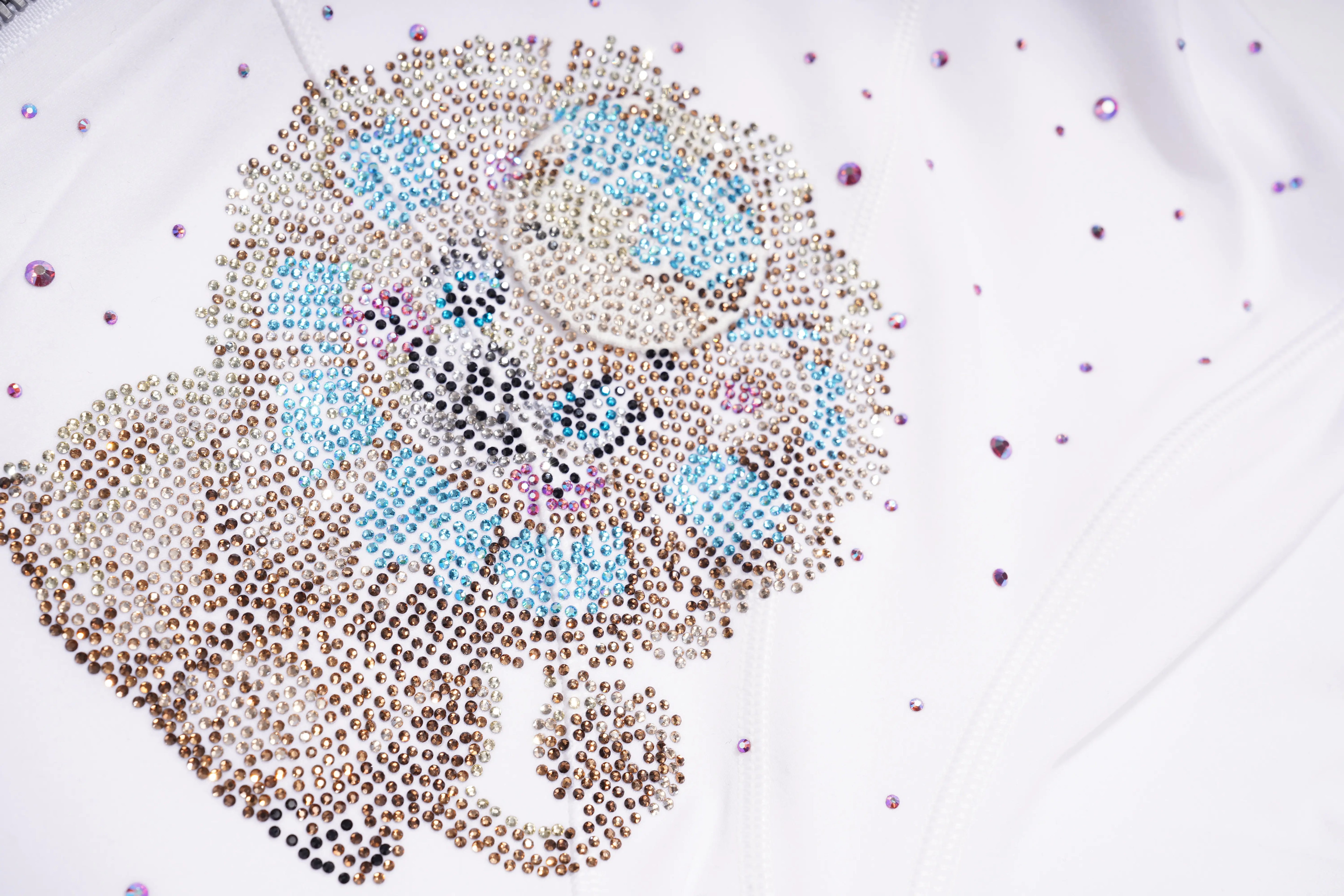 Decorative design made of rhinestones on a white background, TCH Rhinestone Lion & Horse Head Hoodie