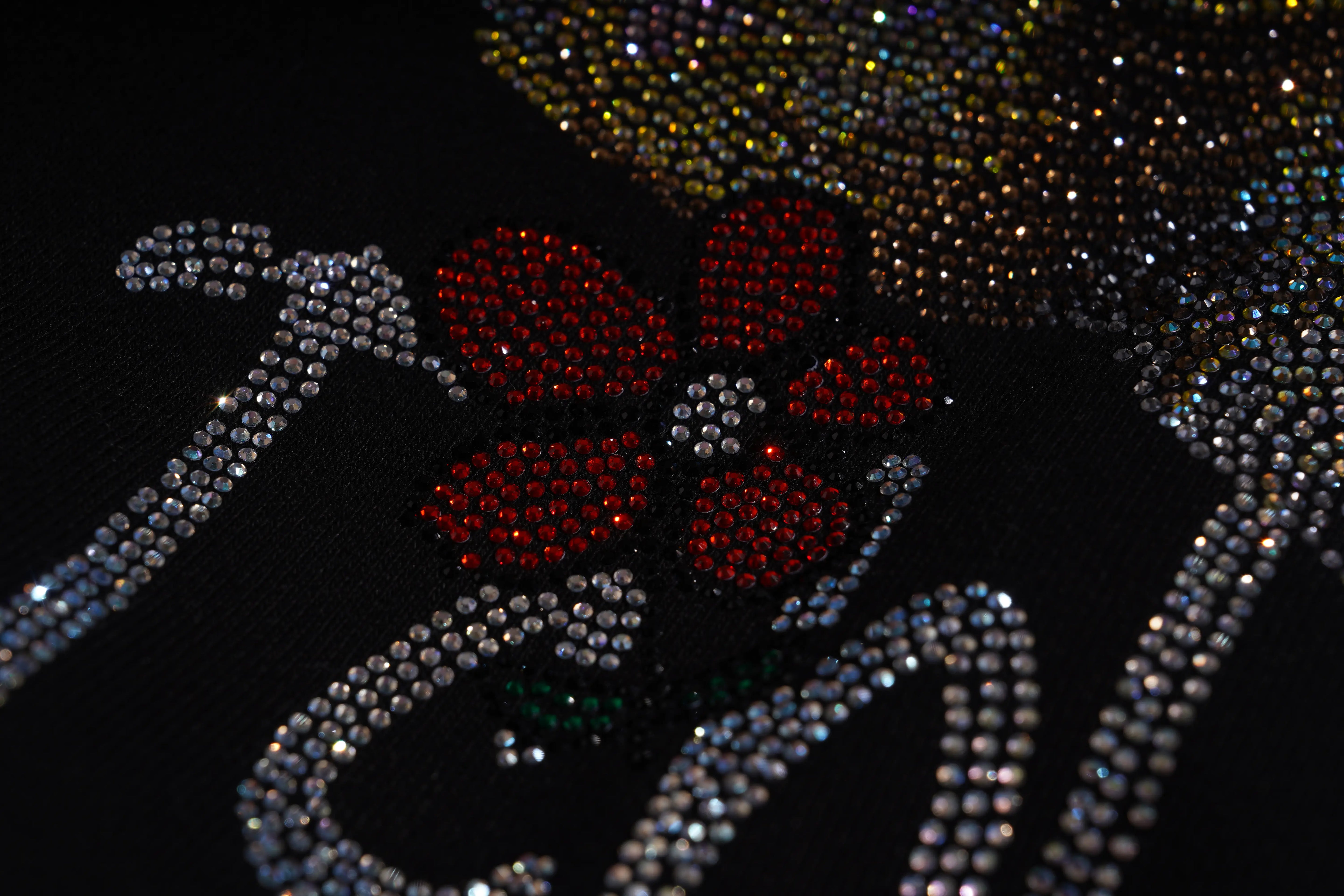 Decorative design with red flowers and silver embellishments on a black background TCH Rhinestone Puppy Graphic Sweatshirt-