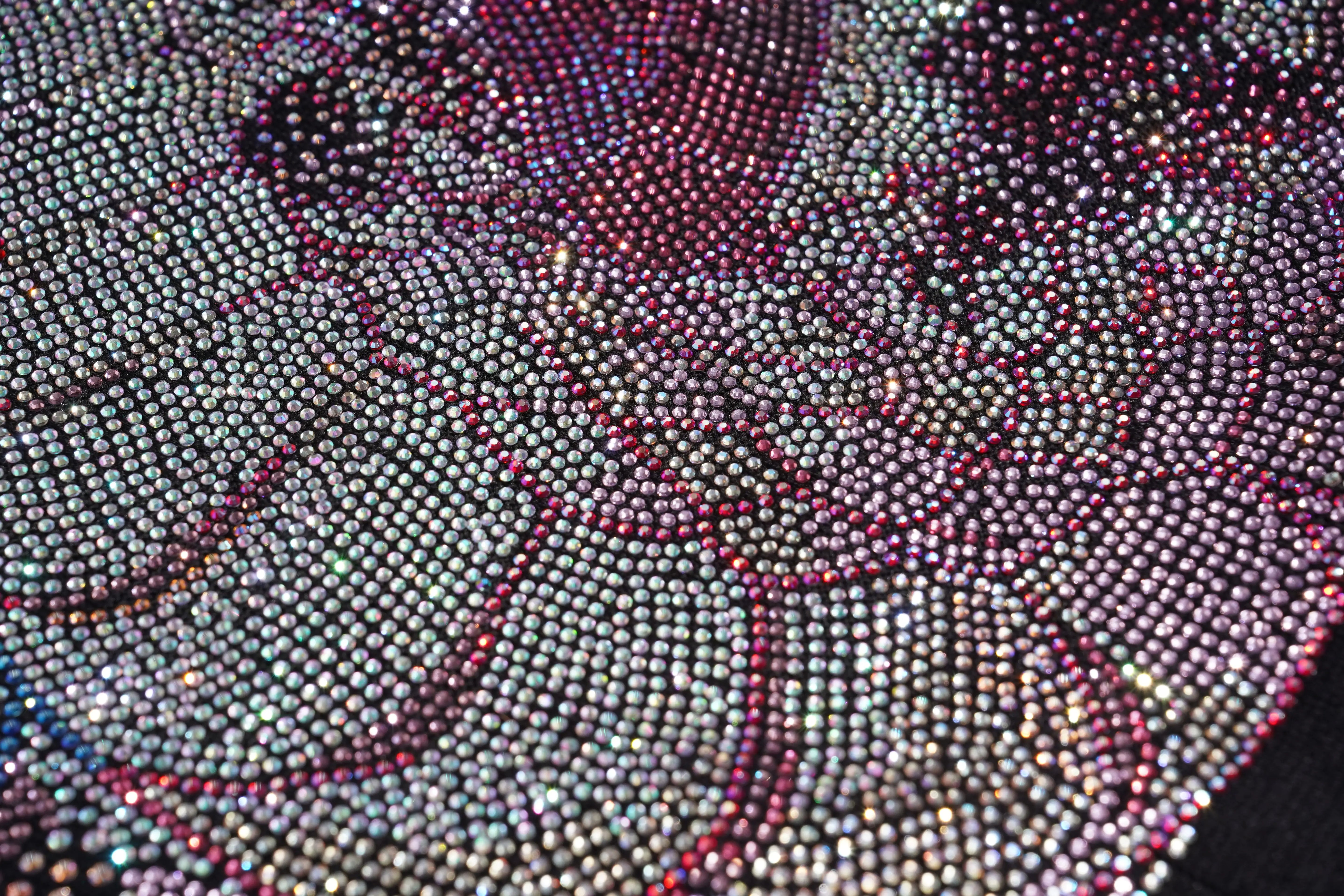 Close-up of a textured surface with circular patterns in various colors. TCH Rhinestone Snake Black Crewneck Sweatshirt